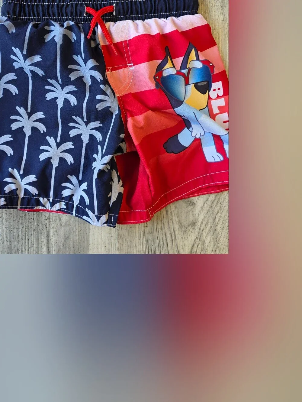 Bluey Boys 4/5 Rash Guard & Swim Trunks Set